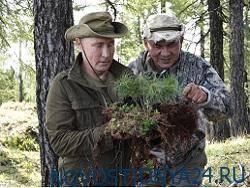А вы будете смотреть «новогоднее поздравление» Путина?