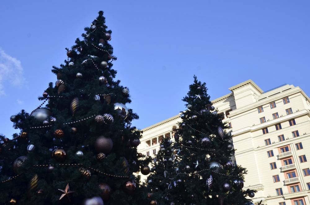 Стали известны самые высокие новогодние елки России