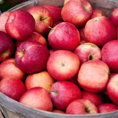 Ситуация с ценами на яблоки в России остается стабильной
