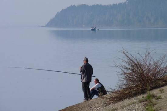 В России упростят порядок получения участков для рыбоводных хозяйств