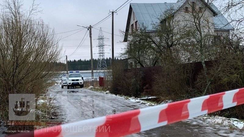 Насиловавшего дочь хозяина дома с арсеналом оружия в Ленобласти арестовали на два месяца
