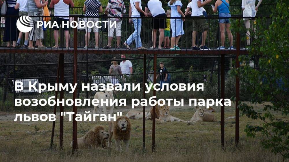 В Крыму назвали условия возобновления работы парка львов "Тайган"