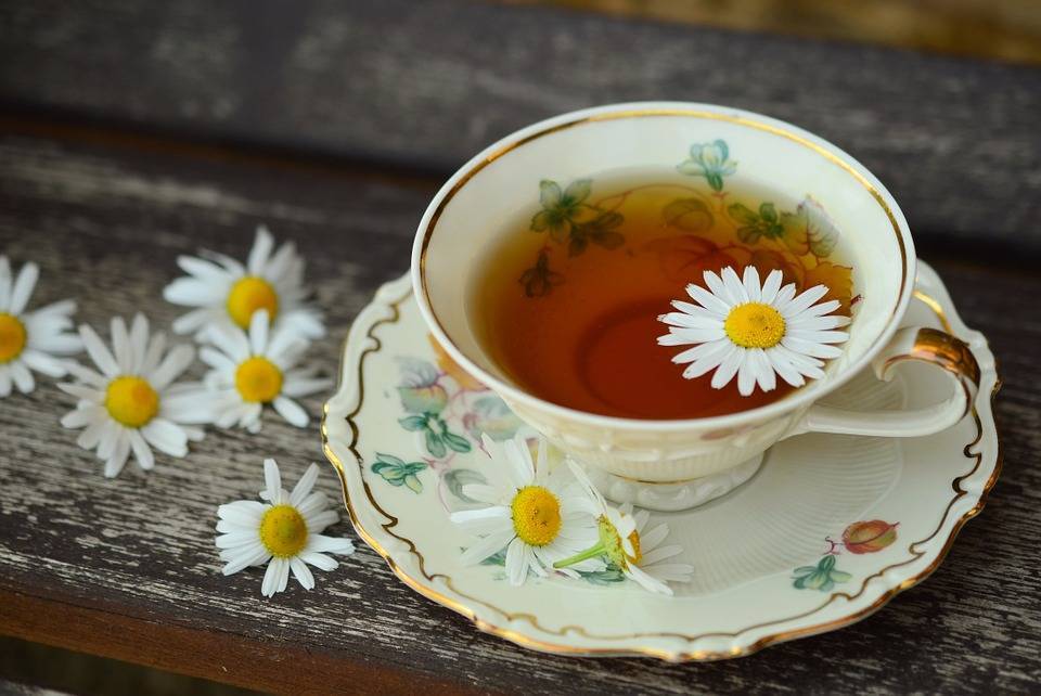 Китайские ученые объяснили, как правильно заваривать полезный чай