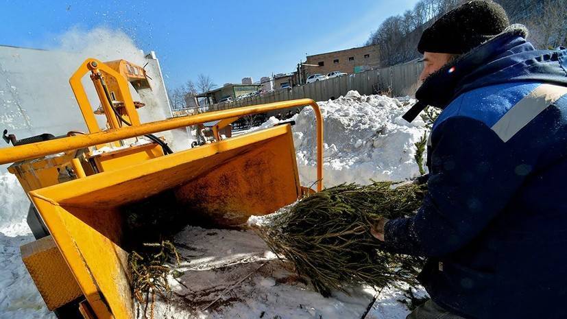 Экологическая акция «Подари своей ёлке вторую жизнь» начнётся 15 января в Подмосковье