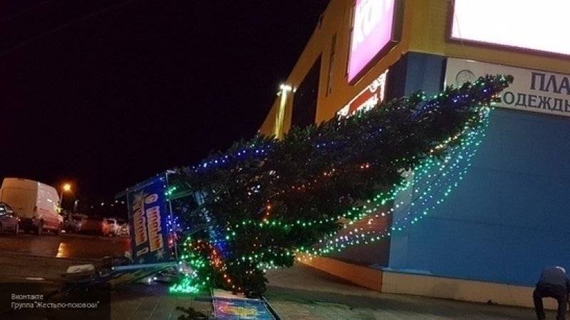 Ветер обрушил новогоднюю елку в Пскове