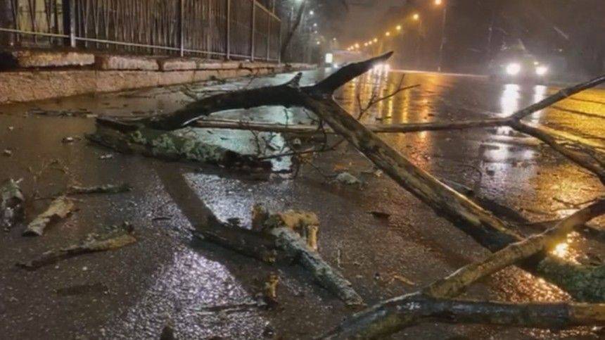 Оборванные провода, разбросанные фуры: сильнейший шторм накрыл Петербург