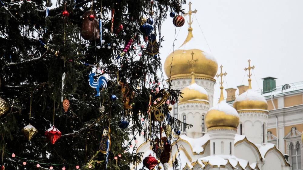 Рейтинг самых высоких новогодних елок в России опубликовали в сети