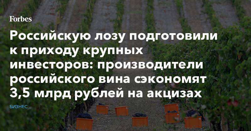 Российскую лозу подготовили к приходу крупных инвесторов: производители российского вина сэкономят 3,5 млрд рублей на акцизах