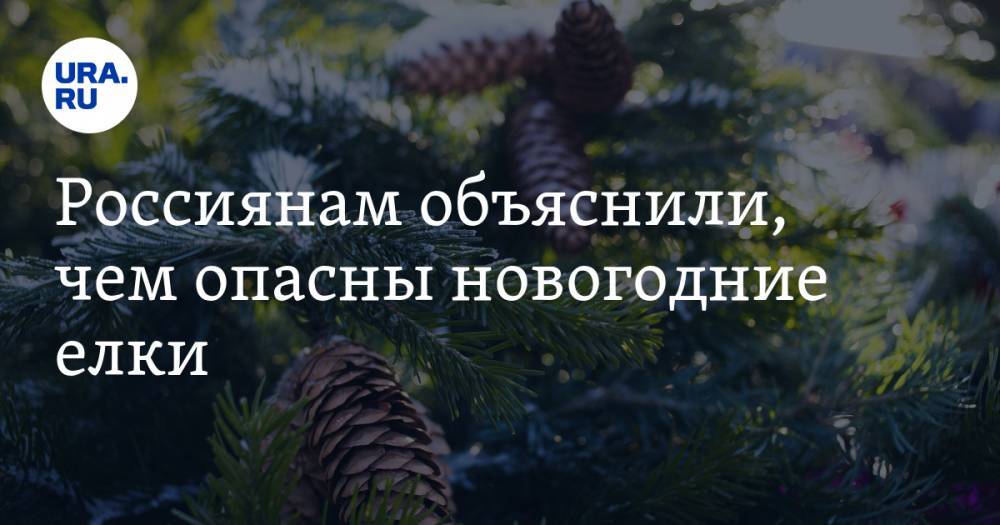 Россиянам объяснили, чем опасны новогодние елки