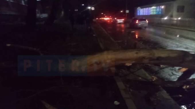Упавшее дерево на Южном шоссе перегородило дорогу