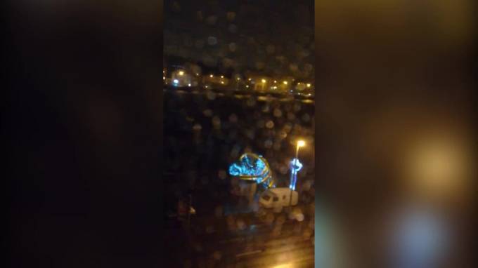 Видео: на Воскресенской набережной из-за ветра упала ёлка