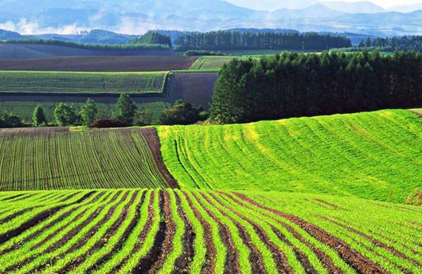 Зеленский предлагает уменьшить концентрацию земли до 10 тысяч гектаров в одни руки