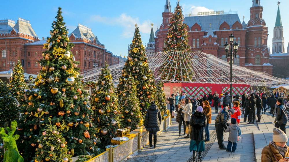 В центре Москвы на новогодние праздники введут особый режим доступа