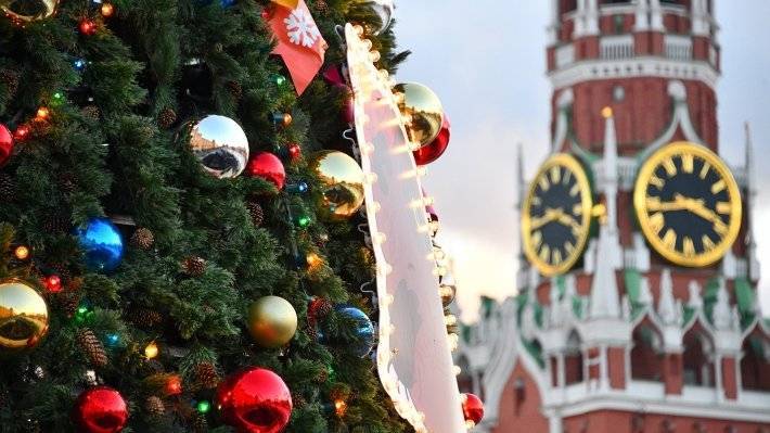 Во время новогодних праздников проход в центр Москвы будет осуществляться через КПП