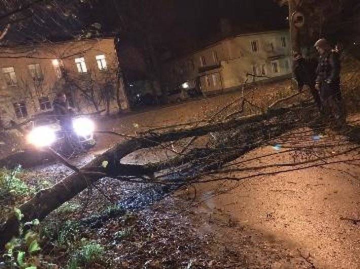 Сильный ветер стал причиной падения деревьев и стендов в Петербурге