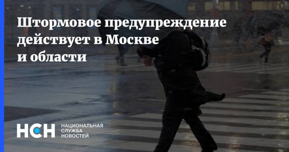 Штормовое предупреждение действует в Москве и области