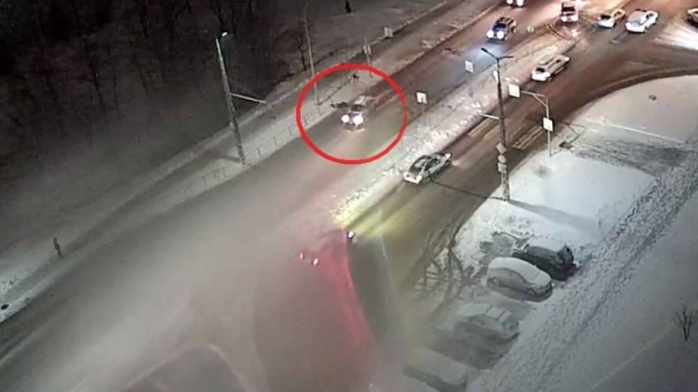 В Петрозаводске водитель цинично сбил на переходе женщину с собакой