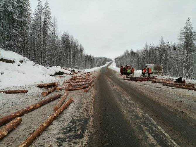 В ДТП с лесовозом в Карелии погиб человек