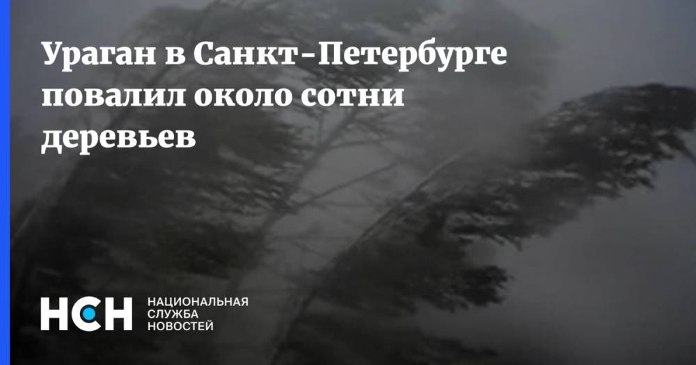 Ураган в Санкт-Петербурге повалил около сотни деревьев