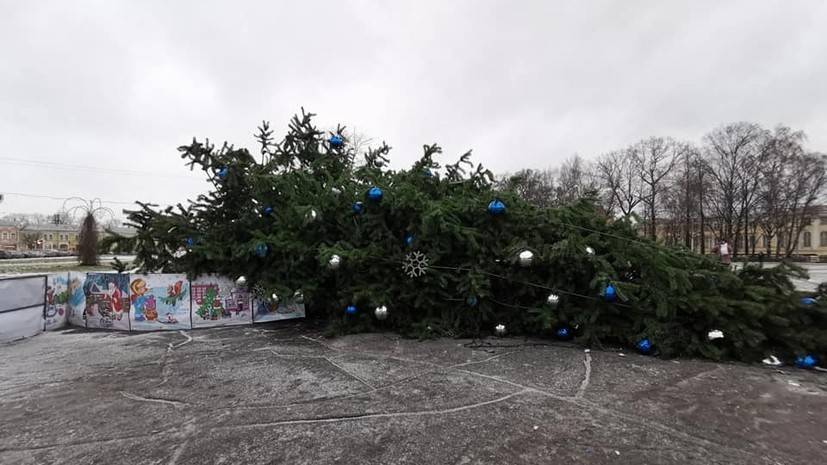 Ветер повалил новогодние ёлки в трёх российских городах