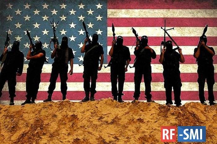 Новые подробности: каким образом США поддерживает террористов ИГИЛ