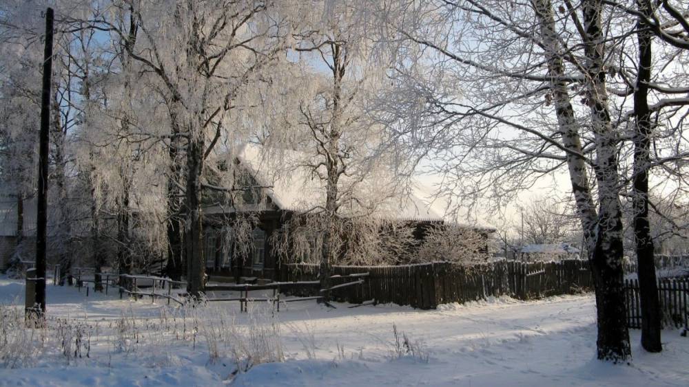 Россиянам рассказали об аномально теплой погоде в декабре