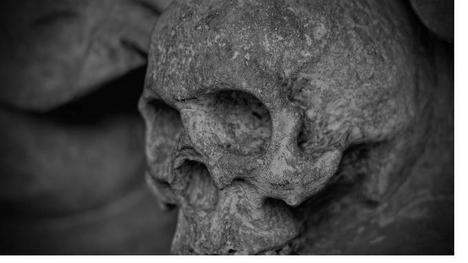 В Ленобласти внучка нашла на даче безголовый скелет своей бабушки и 300 тысяч рублей