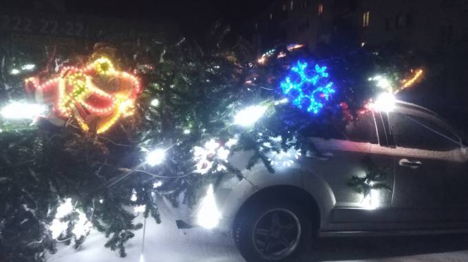 В посёлке Ленинское на автомобиль упала новогодняя ёлка