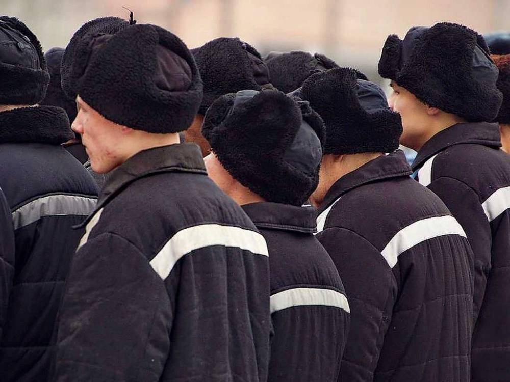 На 44 жалобы о насилии над заключенными в РФ заводится одно уголовное дело&nbsp;— РБК