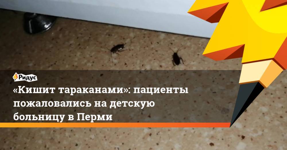 «Кишит тараканами»: пациенты пожаловались на детскую больницу в Перми