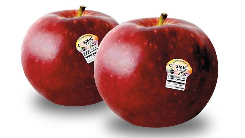 Фруктовые отморозки: выведены яблоки, способные храниться в холодильнике целый год