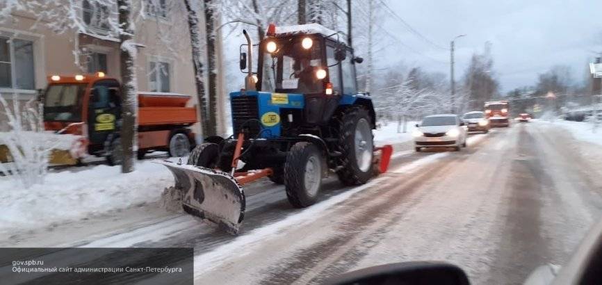 От снега расчистили 139 детских садов и школ Выборгского района Петербурга