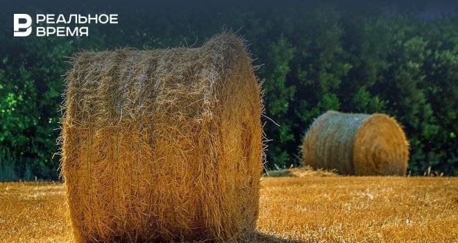 Минсельхоз: в Татарстане растет фермерское производство