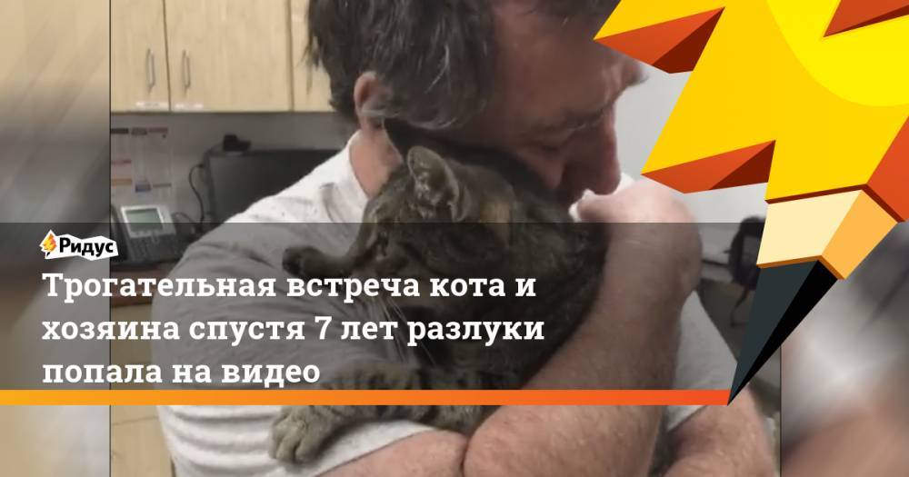 Трогательная встреча кота и хозяина спустя 7 лет разлуки попала на видео