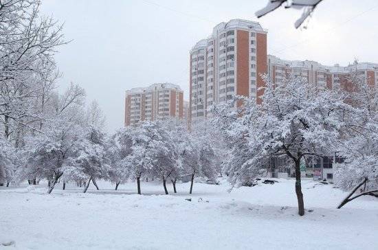 Синоптики рассказали, когда в Москве выпадет снег