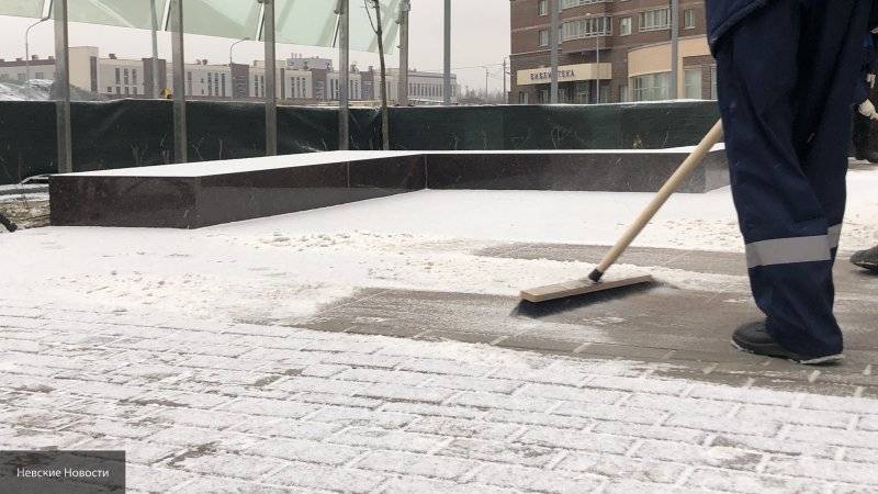 Дорожники Петербурга к утру расчистили от снега школы и детские сады Выборгского района