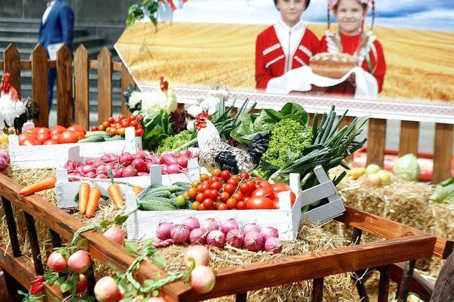 Более 600 тысяч человек посетили объекты аграрного туризма в Краснодарском крае