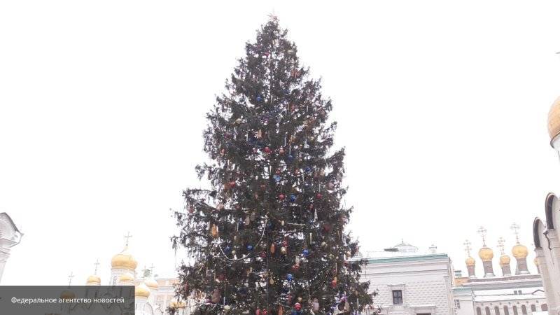 Главная елка страны отправится в Москву 15 декабря