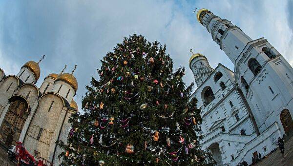 Кремль на Новый год украсит 90-летняя ель из Бородинского лесничества