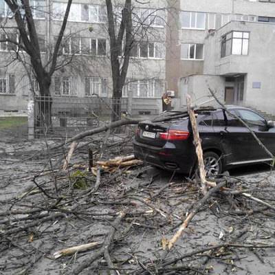 40 деревьев повалены сильным ветром в Москве, повреждены семь машин