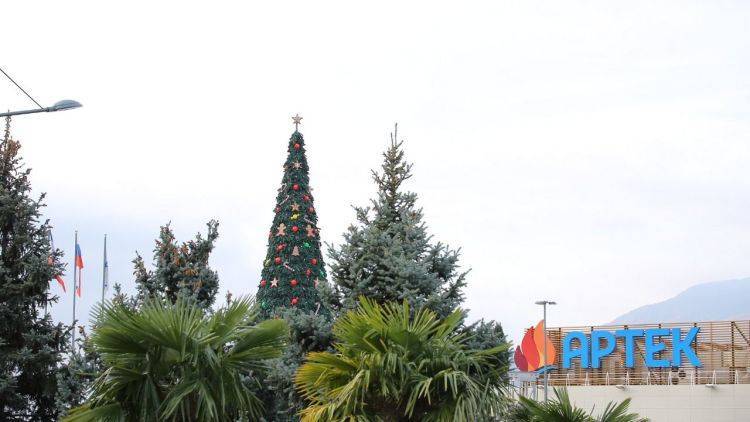 В "Артеке" в пятницу зажгут 18-метровую новогоднюю елку