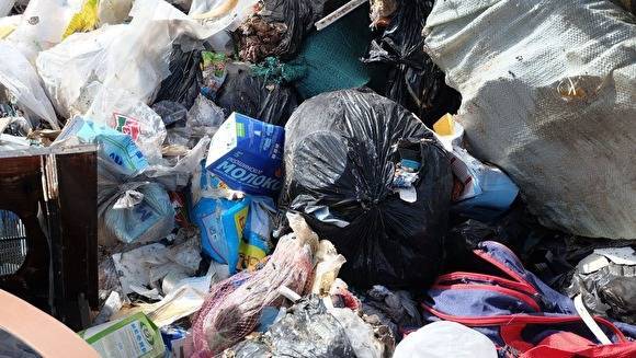 С июля 2020 года в Екатеринбурге и Нижнем Тагиле вырастут тарифы на вывоз мусор