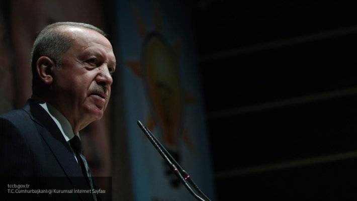 Сотрудничество Эрдогана и террористов ПНС Ливии может вызвать волнения в Турции — эксперт