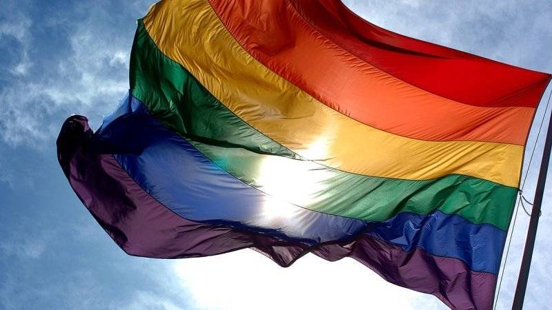 В Совфеде не увидели проблем у геев и лесбиянок, которыми намерен заняться новый посол США