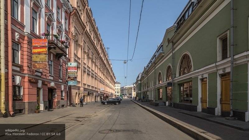 Полиция Петербурга провела порядка 17 рейдов на Думской за 2019 год