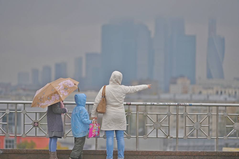«Желтый» уровень погодной опасности объявлен в Москве из-за тумана