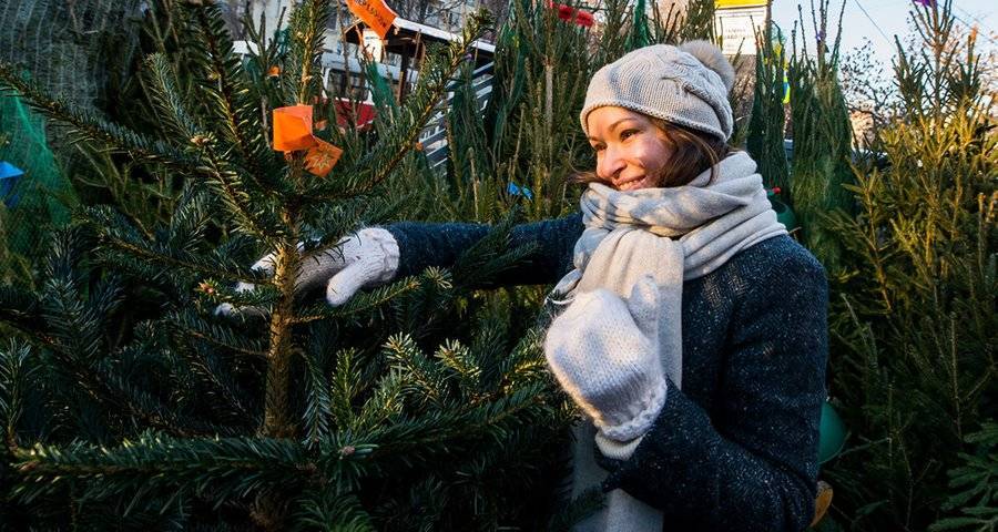 Собянин посоветовал москвичам покупать новогодние елки на специальных базарах