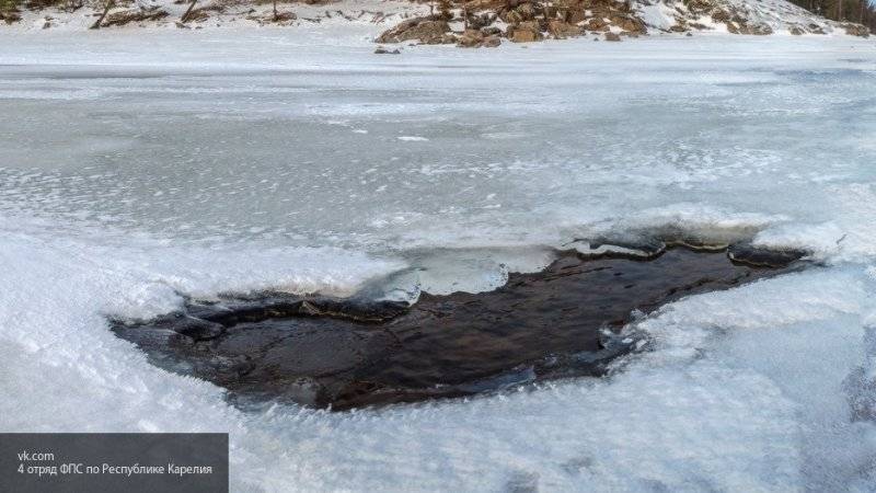 Вмерзший в лед труп с обглоданным лицом найден в Петербурге