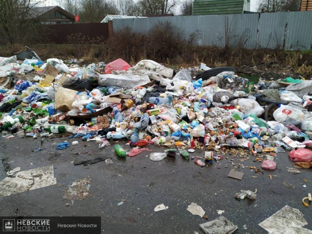 Деревню Химози Гатчинского района завалили мусором