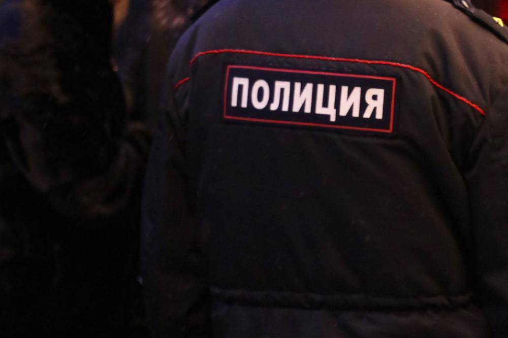Появилось видео, на котором полиция Внуково везет кричащего пассажира в тележке